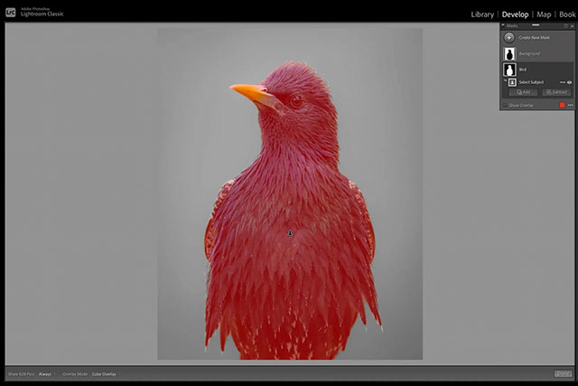Adobe reveals redesigned masking and selective adjustment tools for ...