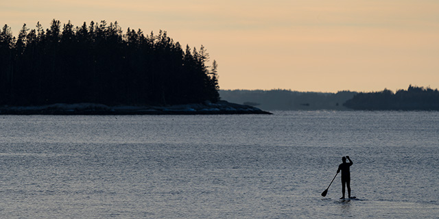 Sony A7 IV Review: Field Test -- Gallery Image
