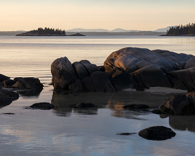 Sony A7 IV Review: Field Test -- Gallery Image