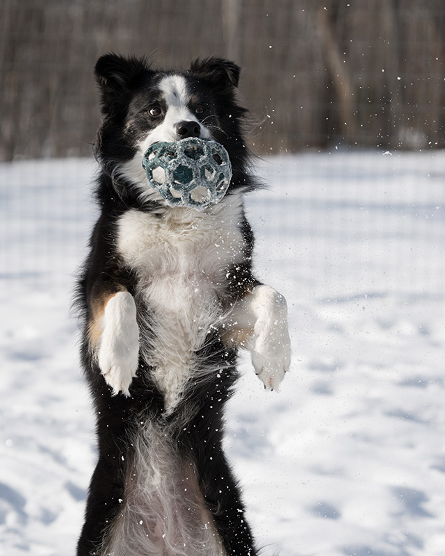 Sony A7 IV Review: Field Test -- Gallery Image