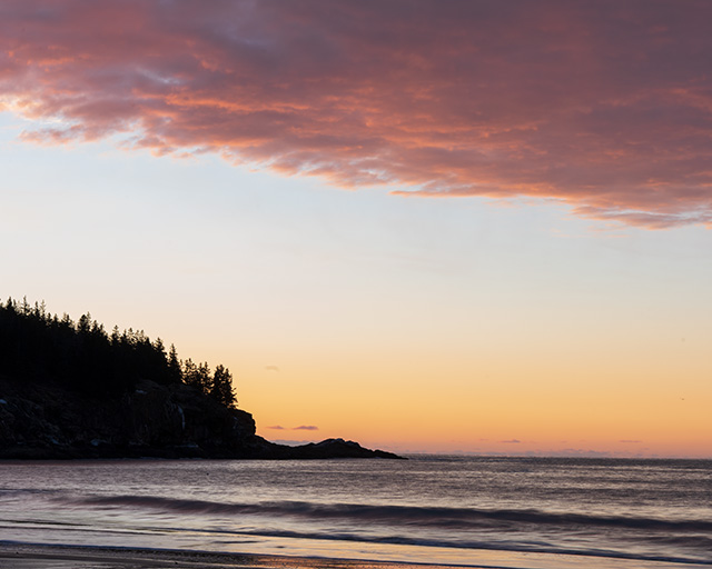 Sony A7 IV Review: Field Test -- Gallery Image