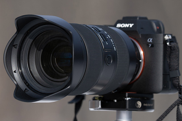Tamron 35-150mm F2-2.8 Di III VXD Hands-on Review: A versatile