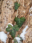 OM-1 Gallery image 7