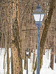 OM-1 Gallery image 29