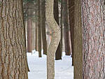 OM-1 Gallery image 33