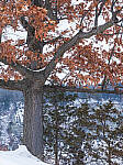 OM-1 Gallery image 81
