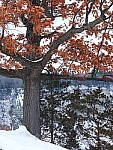 OM-1 Gallery image 83