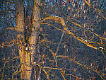 OM-1 Gallery image 85