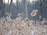 OM-1 Gallery image 91