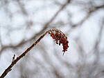 OM-1 Gallery image 95