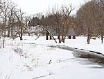 OM-1 Gallery image 105