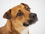 OM-1 Gallery image 119