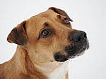 OM-1 Gallery image 121
