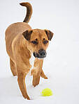OM-1 Gallery image 123