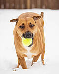 OM-1 Gallery image 127