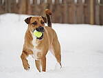 OM-1 Gallery image 135