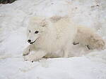 OM-1 Gallery image 151