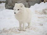 OM-1 Gallery image 155