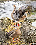 OM-1 Gallery image 157