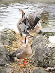 OM-1 Gallery image 159