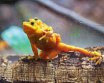 OM-1 Gallery image 169