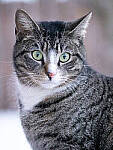 OM-1 Gallery image 189