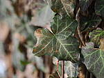 OM-1 Gallery image 207