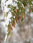 OM-1 Gallery image 213