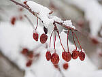 OM-1 Gallery image 225