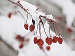 OM-1 Gallery image 227
