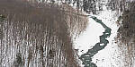 OM-1 Gallery image 231