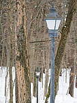 OM-1 Gallery image 237
