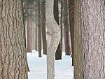 OM-1 Gallery image 241