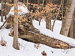 OM-1 Gallery image 255