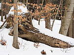 OM-1 Gallery image 257