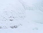 OM-1 Gallery image 261