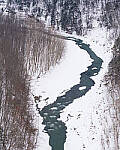 OM-1 Gallery image 263