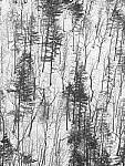 OM-1 Gallery image 271