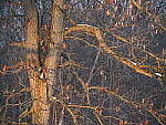 OM-1 Gallery image 279