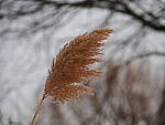 OM-1 Gallery image 281