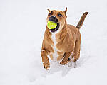 OM-1 Gallery image 299