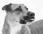 OM-1 Gallery image 315