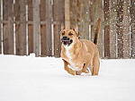 OM-1 Gallery image 321