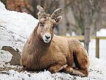 OM-1 Gallery image 325