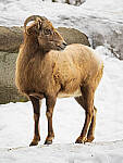 OM-1 Gallery image 331