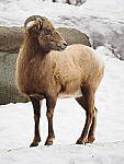 OM-1 Gallery image 333