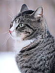 OM-1 Gallery image 355