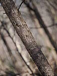 OM-1 Gallery image 359