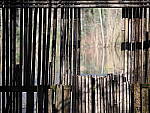 OM-1 Gallery image 369
