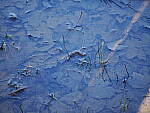 OM-1 Gallery image 371